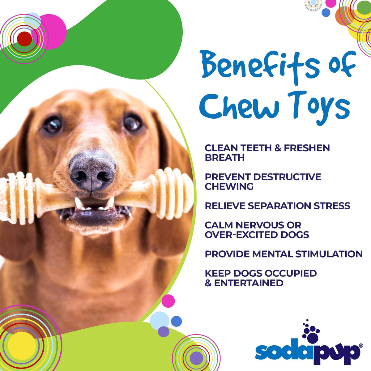 Honey Bone Nylon Bone Chewers | Indestructible