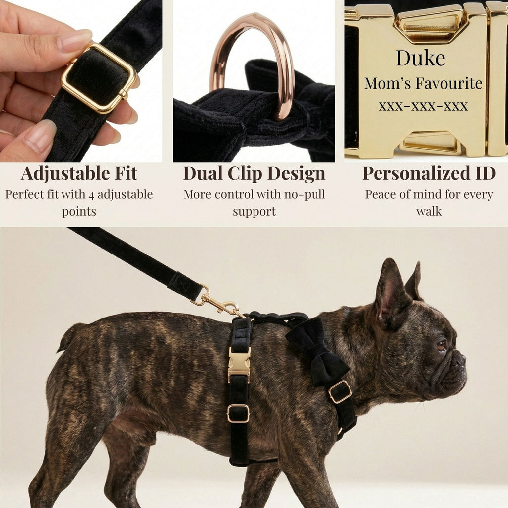 Personalized Black Velvet Dog Harness Set - Harness, Collar & Leash