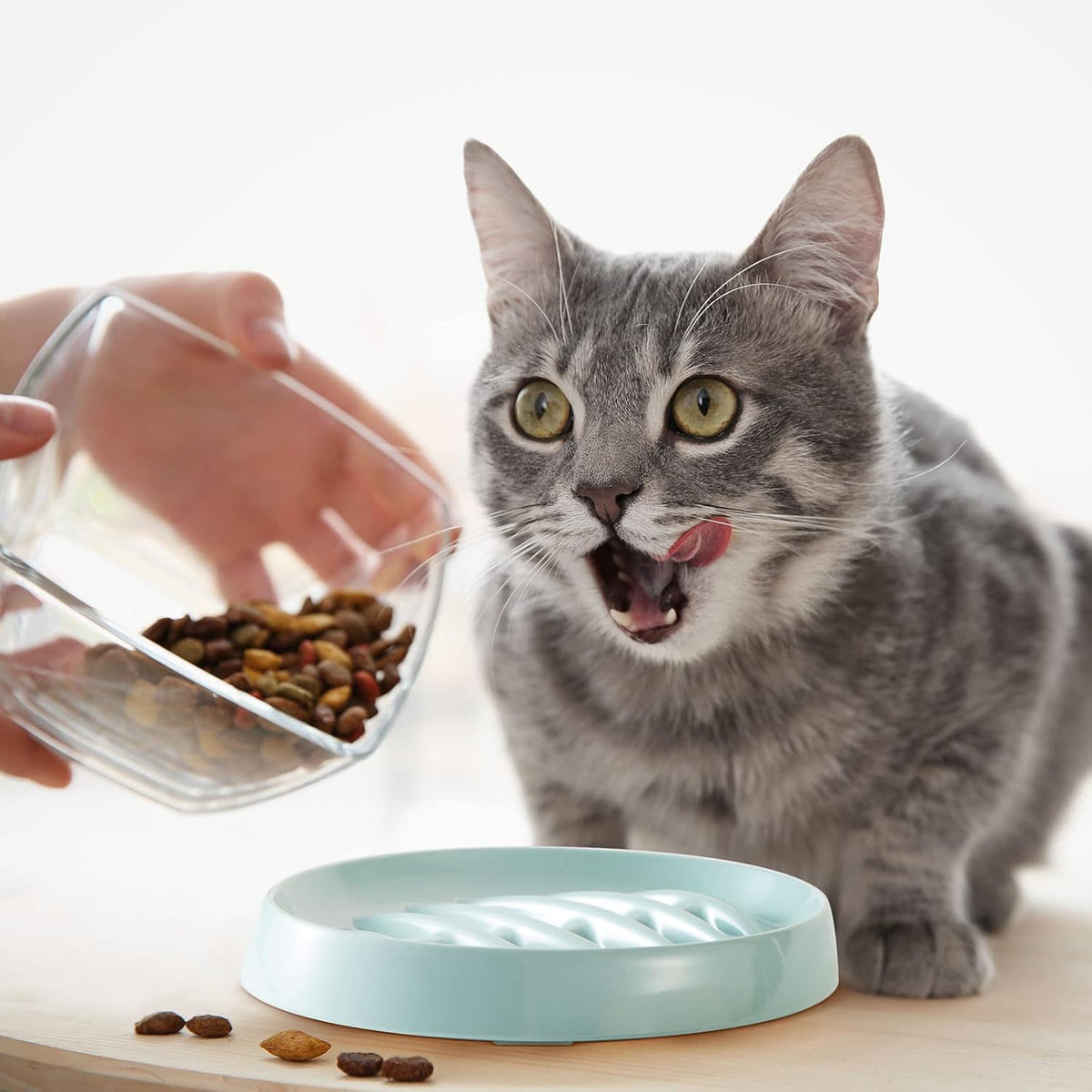 Fishbone Slow Feeder Bowl - Anti-Gulping Pet Dish for Cats & Dogs