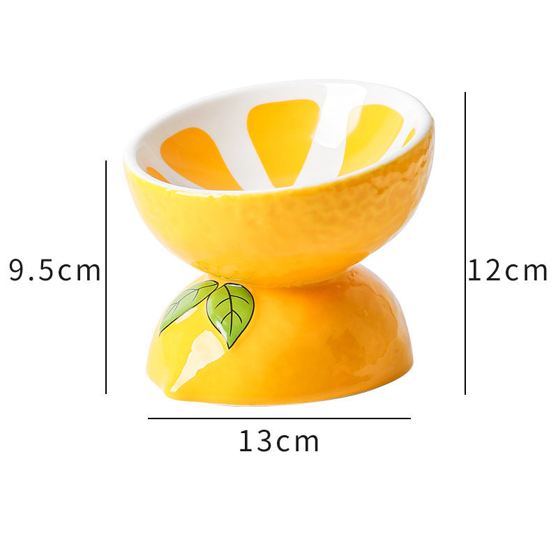 Elevated Ceramic Cat Bowl - Tilted Anti-Vomiting Feeder for Cats & Small Dogs