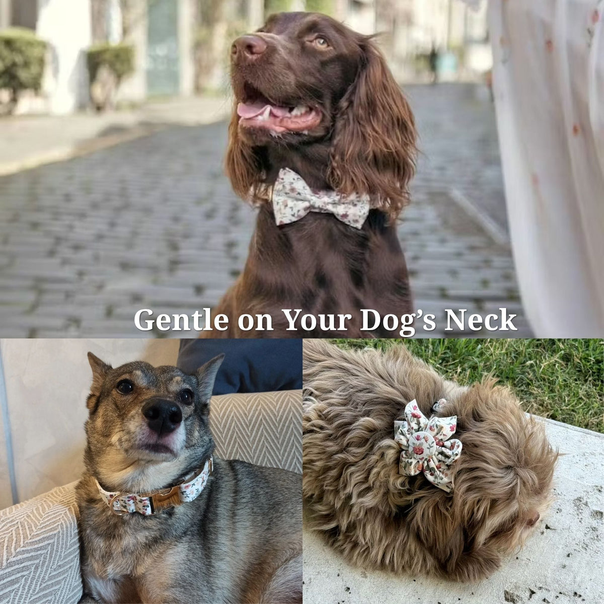 Personalized Ivory Floral Dog Harness Set - Harness, Collar & Leash