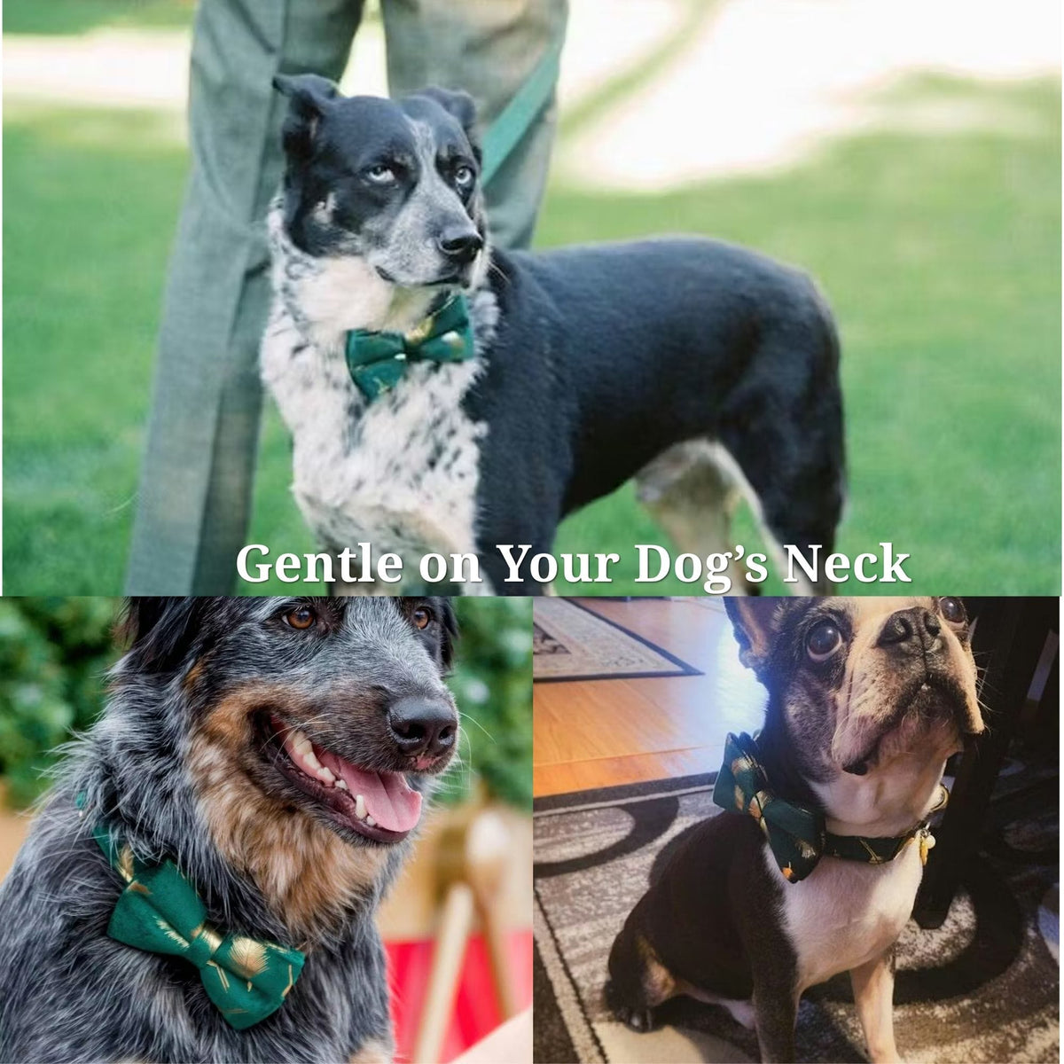 Personalized Green Velvet Floral Dog Harness Set - Harness, Collar & Leash