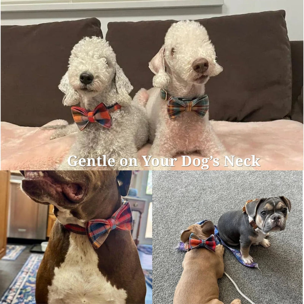 Personalized Plaid Dog Harness Set - Harness, Leash & Bow Tie