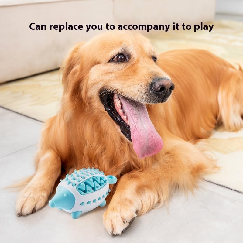 Dog Treat Chew Teeth Cleaning