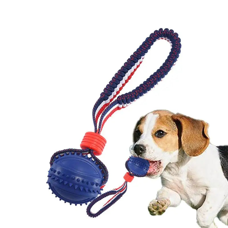 Interactive Dog Chew Ball with Rope - Teether & Training Toy