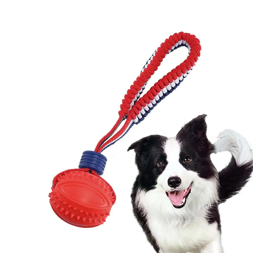Interactive Dog Chew Ball with Rope - Teether & Training Toy