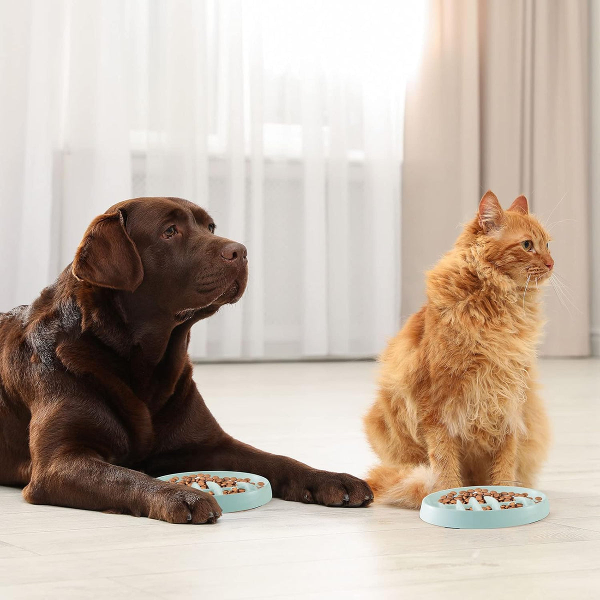 Fishbone Slow Feeder Bowl - Anti-Gulping Pet Dish for Cats & Dogs