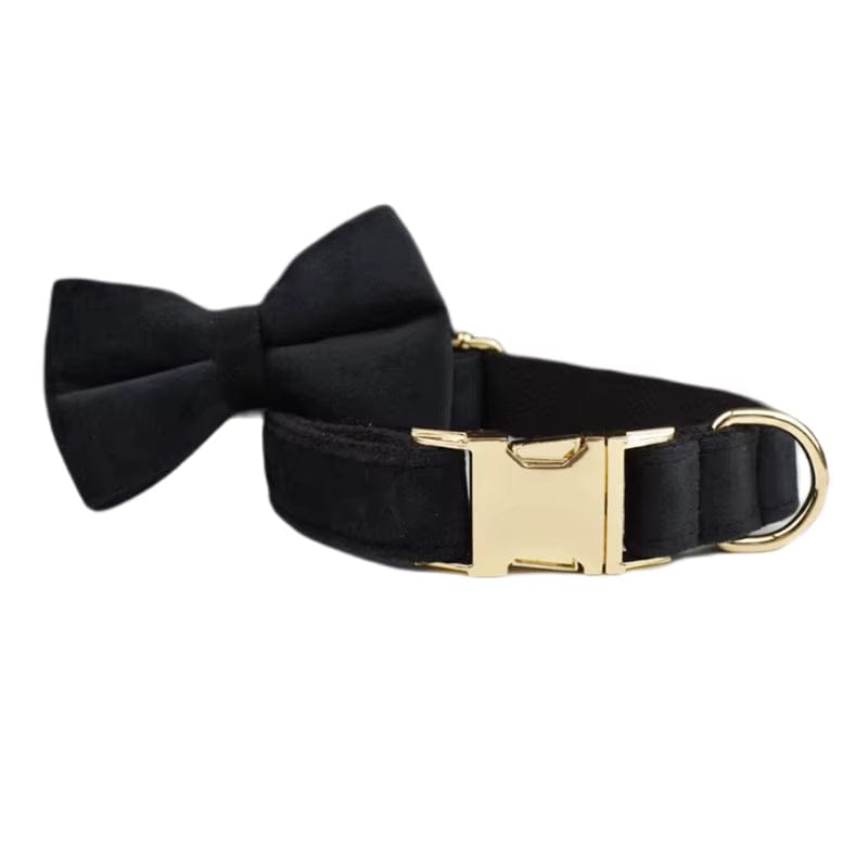 Personalized Black Velvet Dog Harness Set - Harness, Collar & Leash