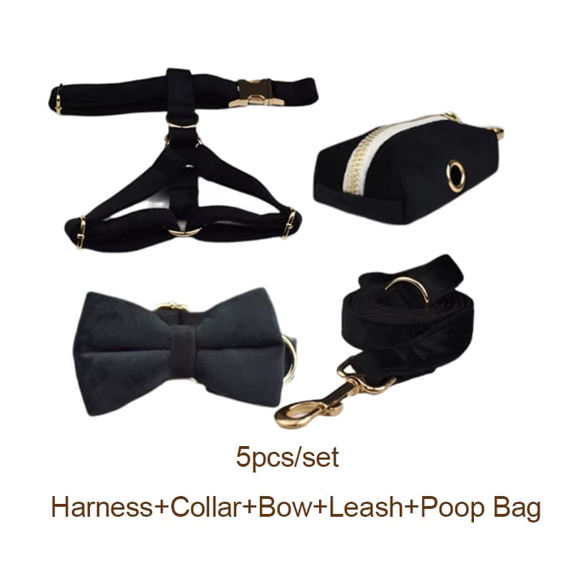 Personalized Black Velvet Dog Harness Set - Harness, Collar & Leash
