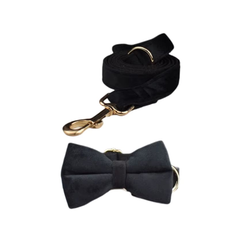 Personalized Black Velvet Dog Harness Set - Harness, Collar & Leash