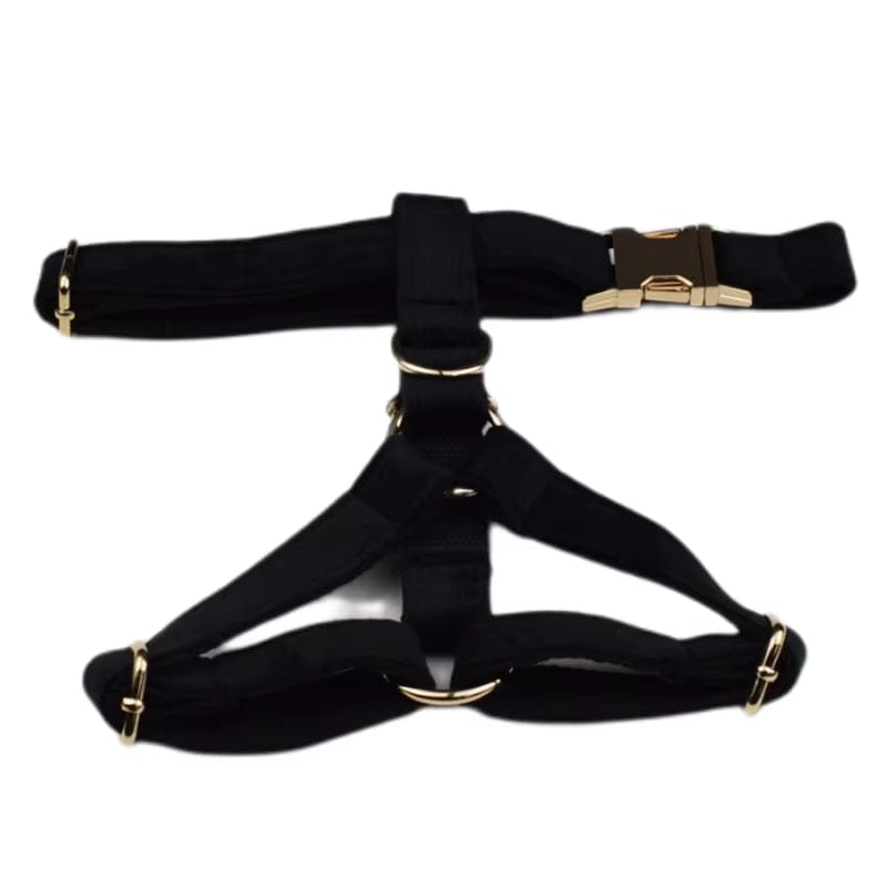 Personalized Black Velvet Dog Harness Set - Harness, Collar & Leash