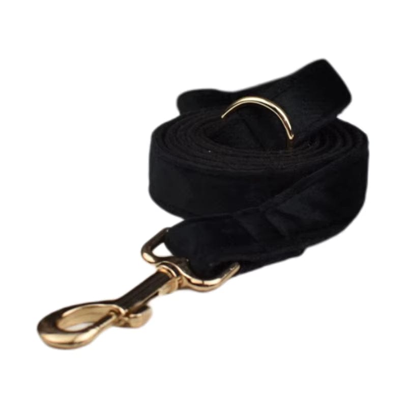 Personalized Black Velvet Dog Harness Set - Harness, Collar & Leash