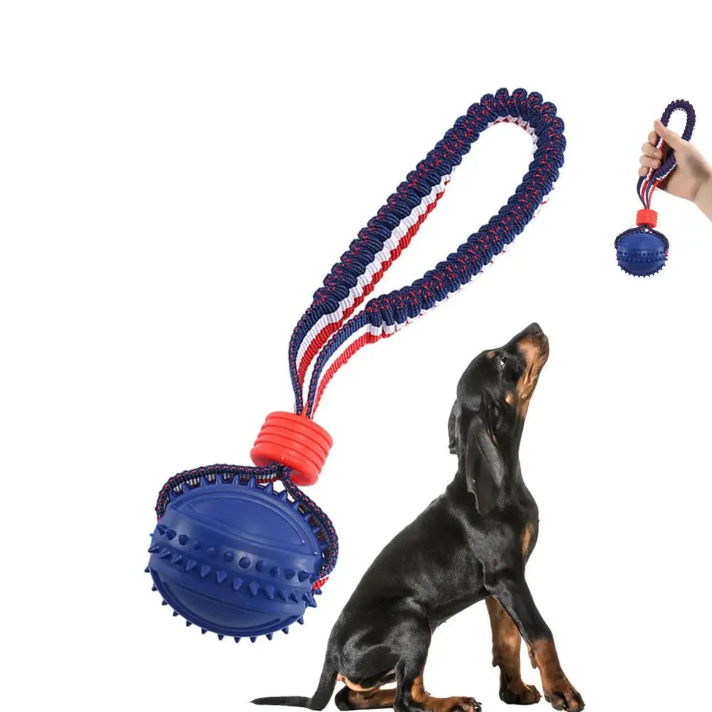 Interactive Dog Chew Ball with Rope - Teether & Training Toy