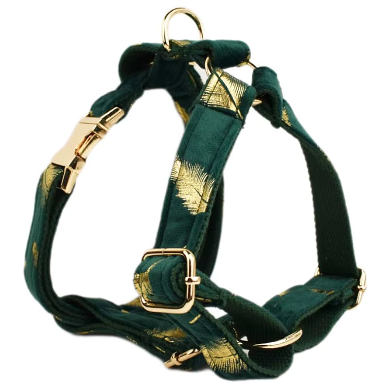 Personalized Green Velvet Floral Dog Harness Set - Harness, Collar & Leash