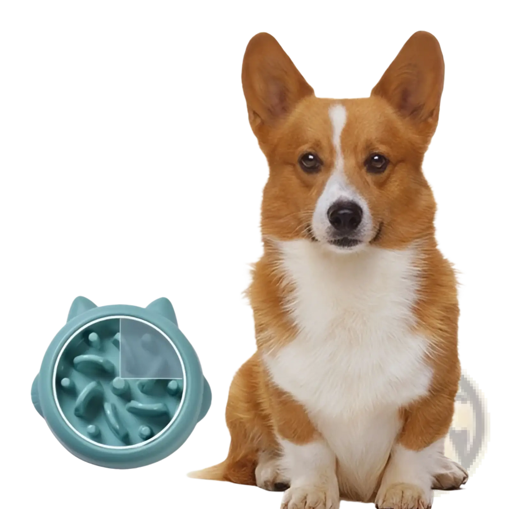 Slow Feeder Dog Bowl Anti Gulping Silicone Pet Dish